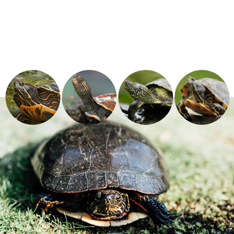 Pet Small Animal Platform for Turtle Basking Stand for Play Climbing for Reptile for Turtle Climbing Basking Small